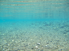 Healing Blue