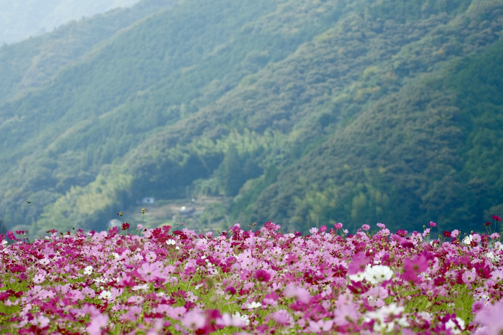 山風川風秋の風