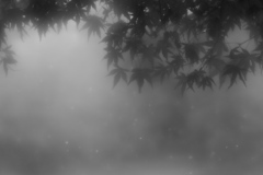 初雪