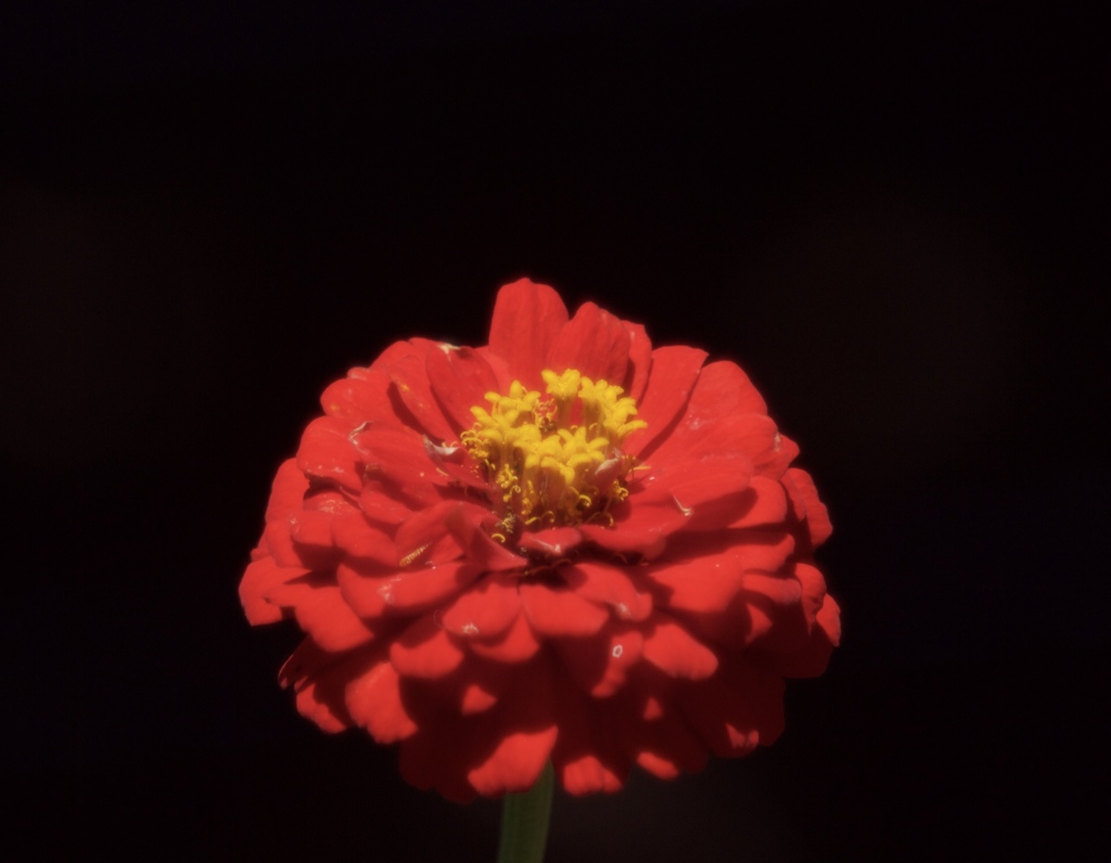 夏の色　３