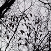 モノクロームな時間