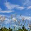秋の空１