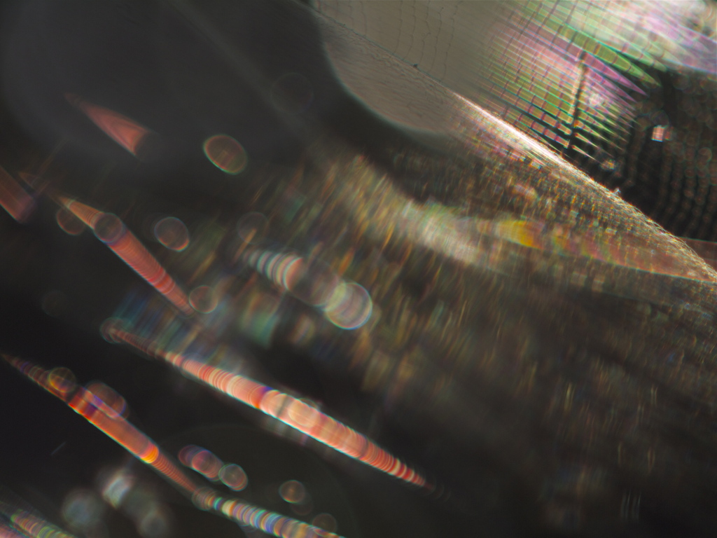 5th Area Autumn Collection 3