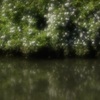 四月の川辺