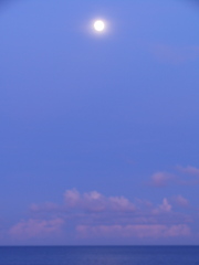モモイロの海の噂