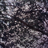 春の時間