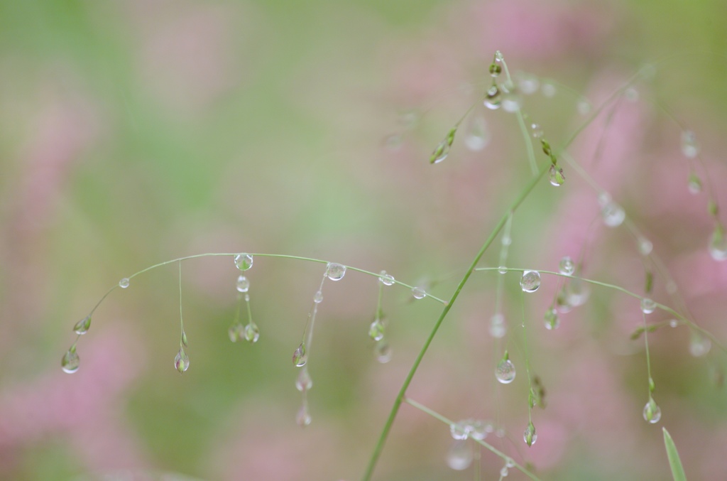 秋雨の印