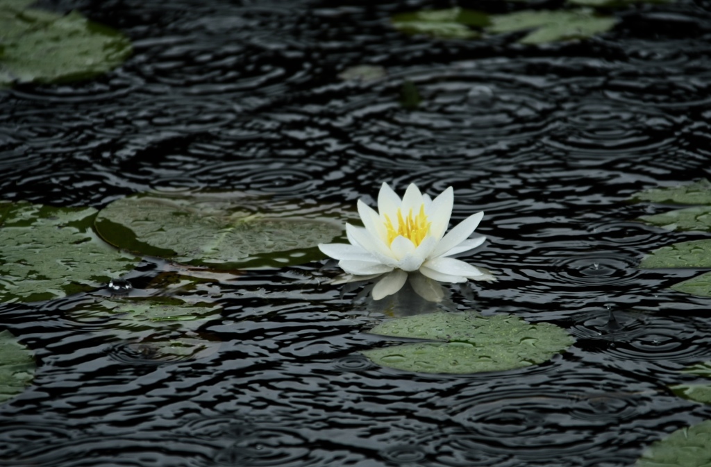 雨のリズム