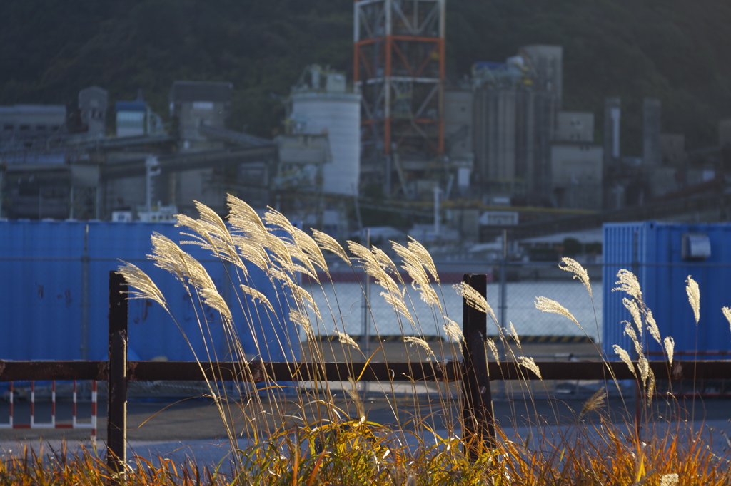 時の流れ