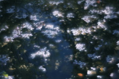 春文様