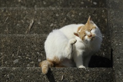 くつろぎ２