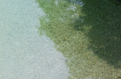 夏の気配