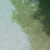 夏の気配