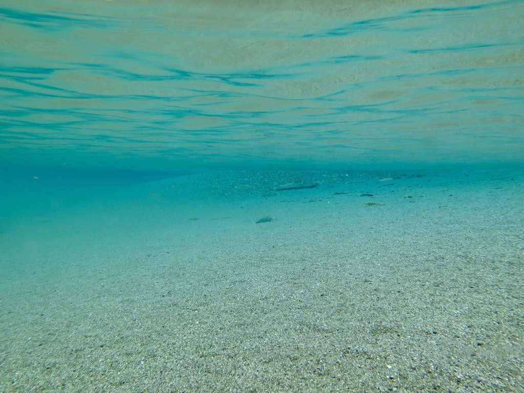 BLUE POINT 1