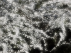 白の構図