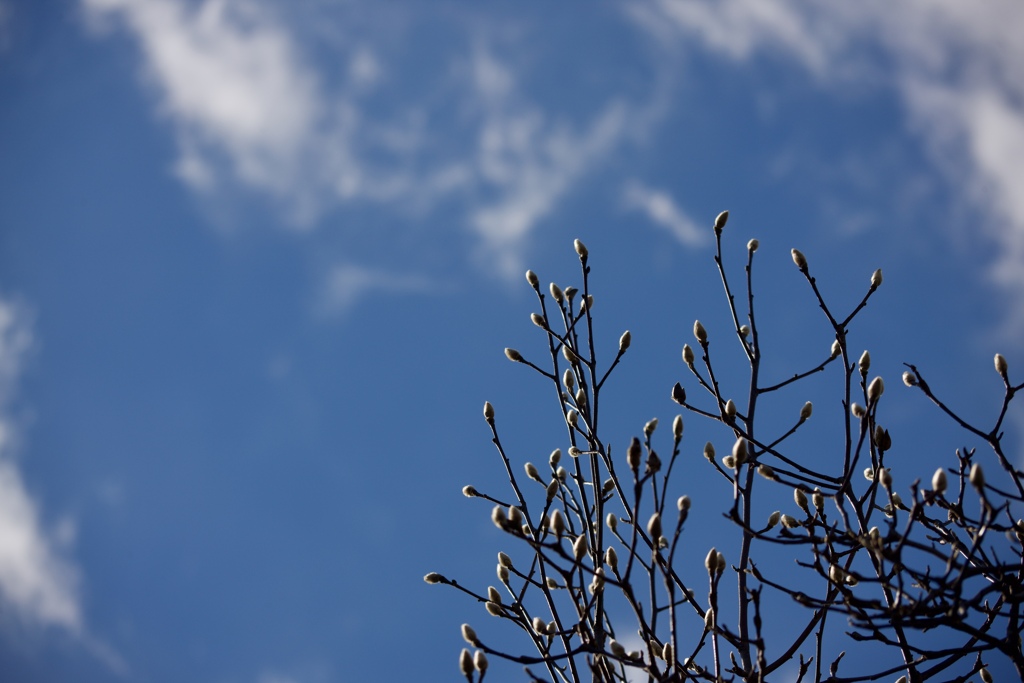 新年の空