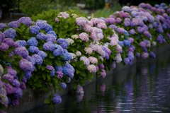 雨の季節