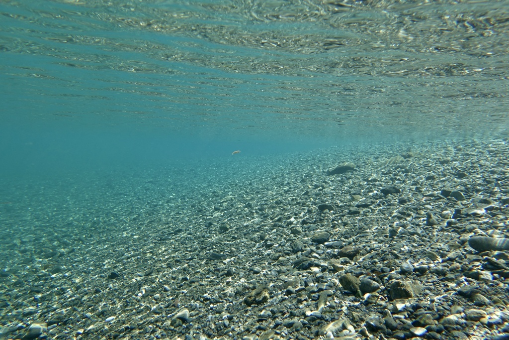 明るい水