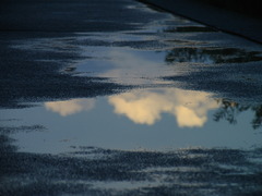 雨上がり