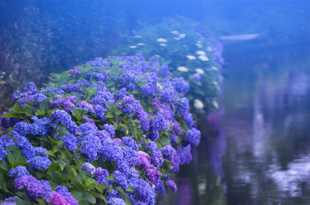 梅雨の心象