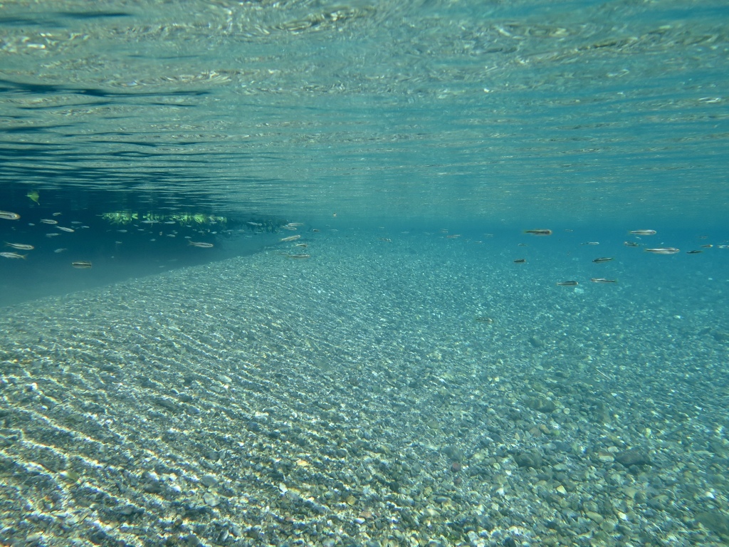 AQUA 3