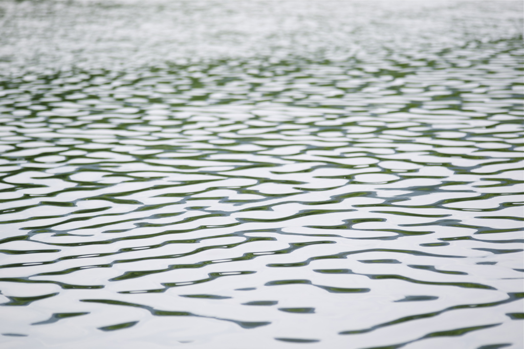 雨の予感