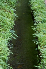 緑の水路