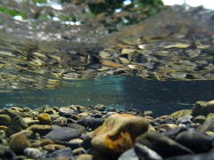 お昼の水遊び