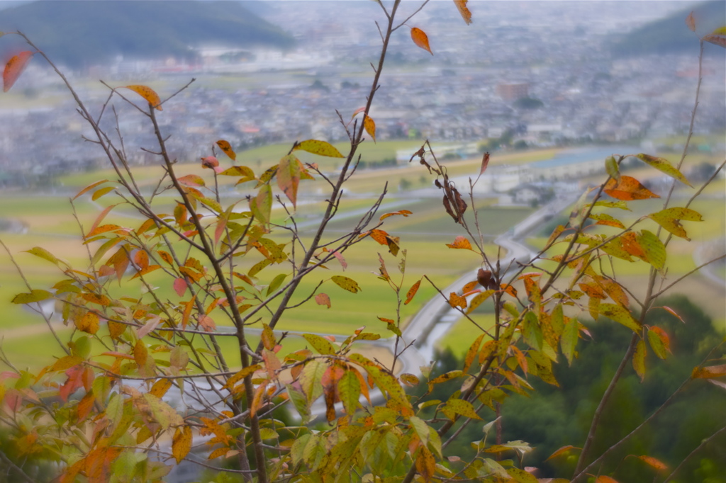 秋色の町