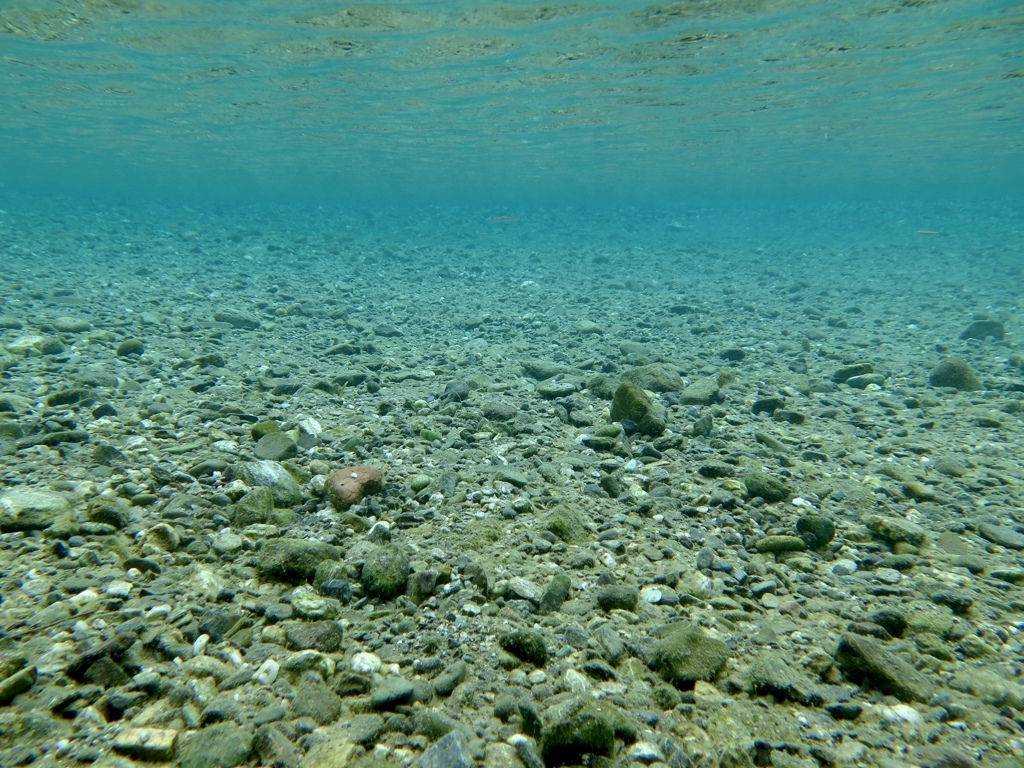 MAY WATER