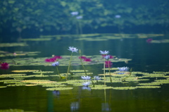 雨の印象