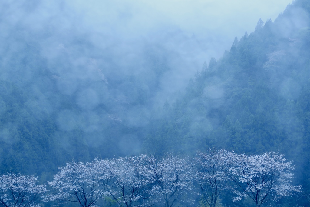 雨の印象