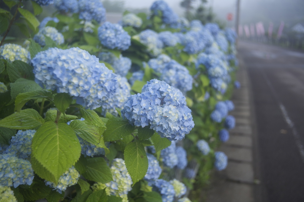 明日から六月