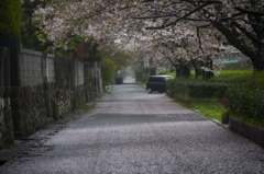 雨の日曜日の朝