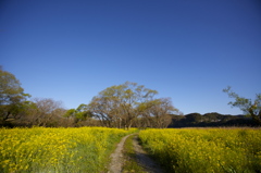 或る春の一日