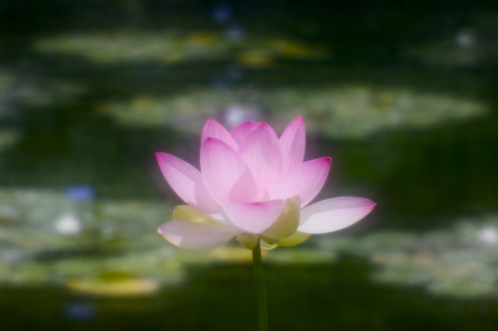 三行三様