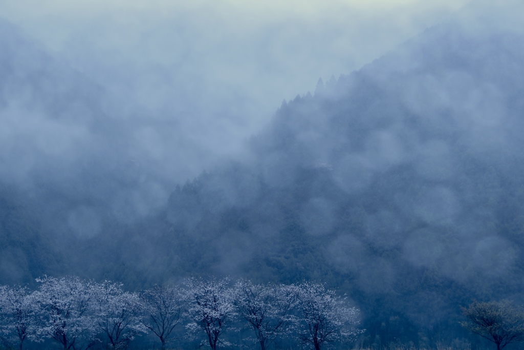 花雨