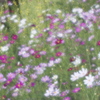 花模様