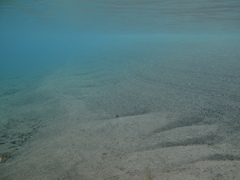 夏の野根川河口３