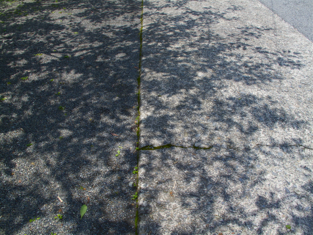 梅雨の晴れ間