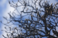 雲の切れ間に