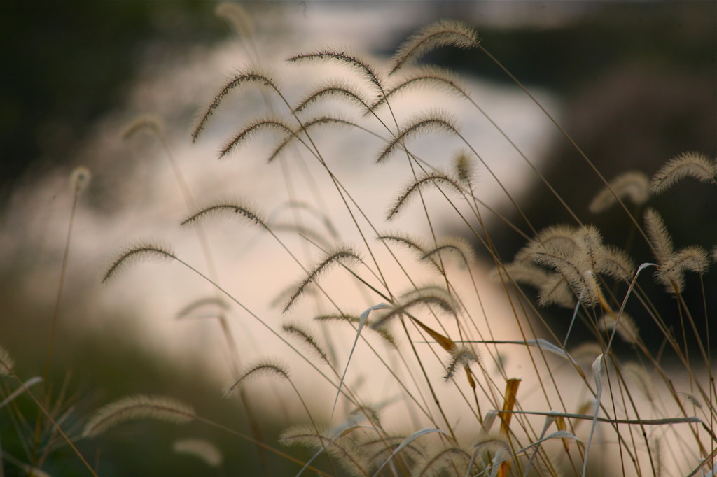 晩秋鏡川