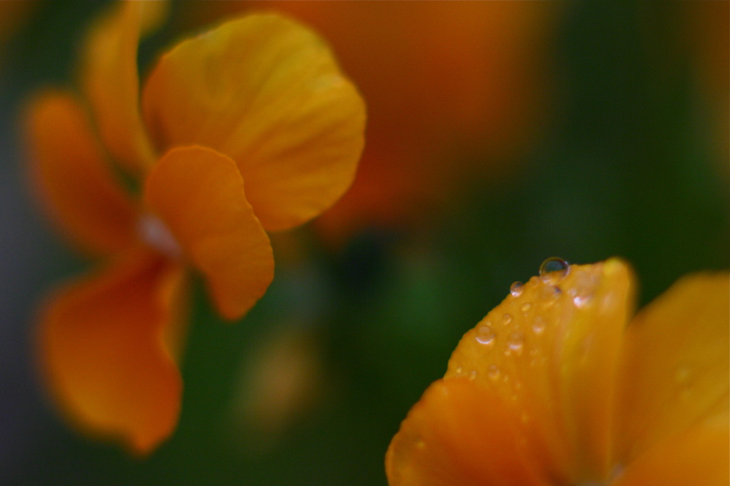 夕方は雨