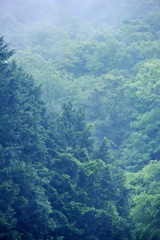 ５月の雨の日