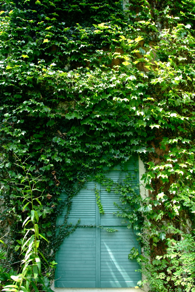 開かずの緑の扉