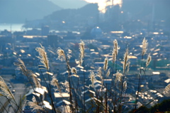 師走の朝