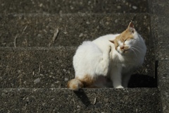 くつろぎ１