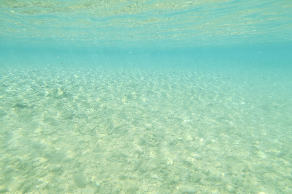 夏の川の朝　７