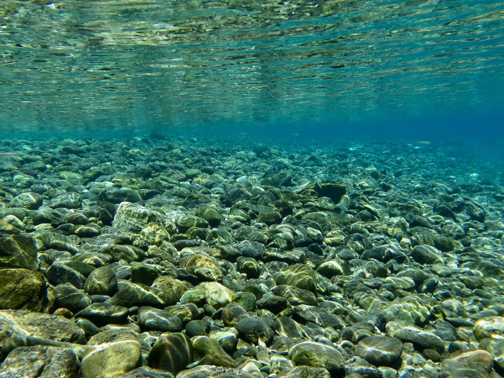 AQUA 10