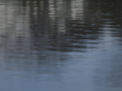 朝のうち雨